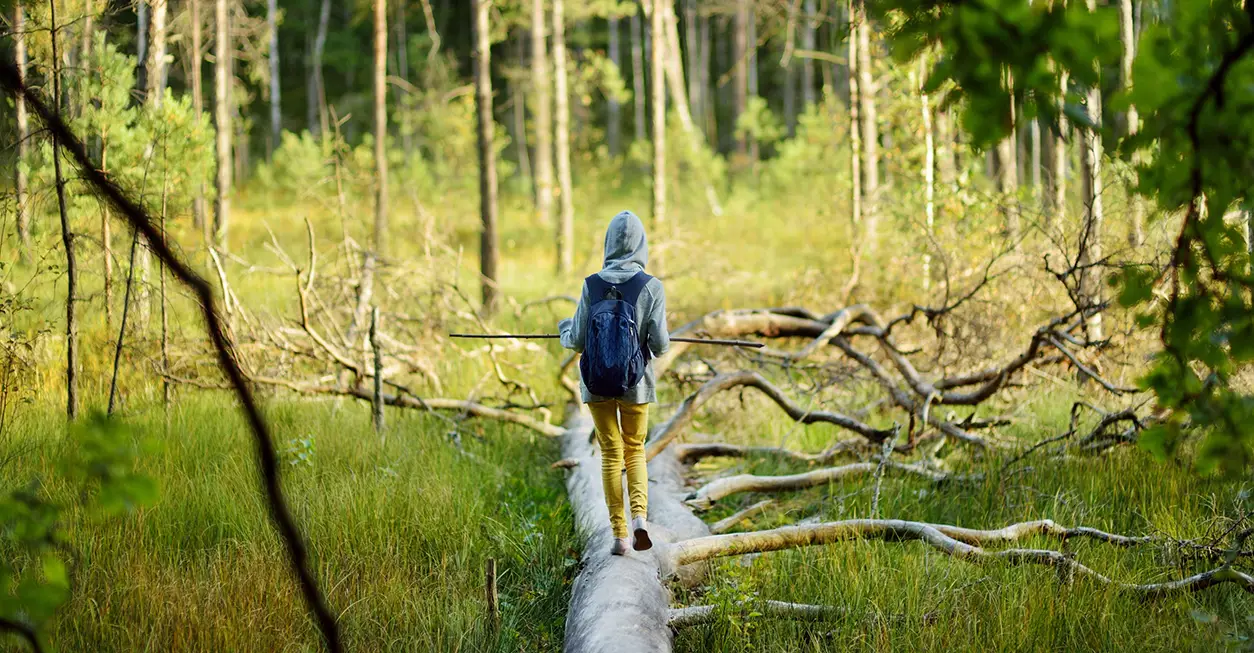Kuva: Lapsi metsässä
